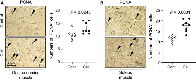 Fig. 13