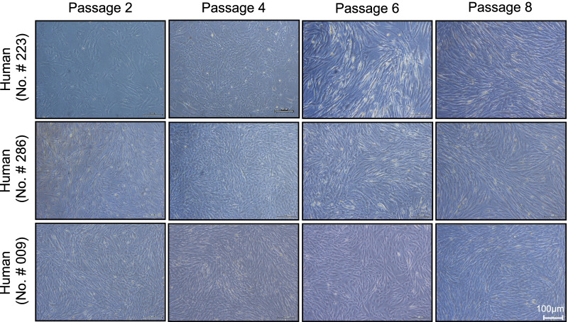 Fig. 15