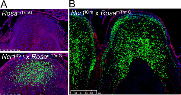 Figure 1: