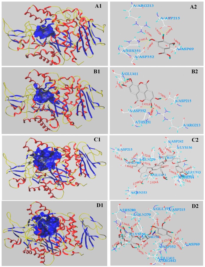 Figure 5