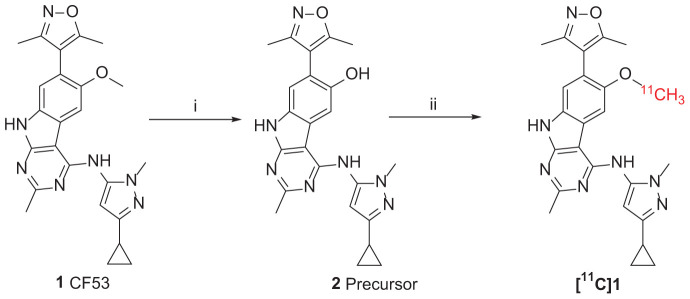 SCHEME 1