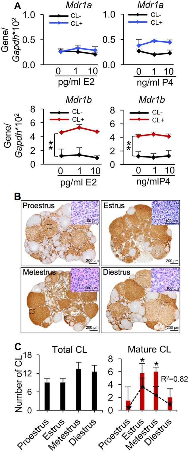 Figure 7.