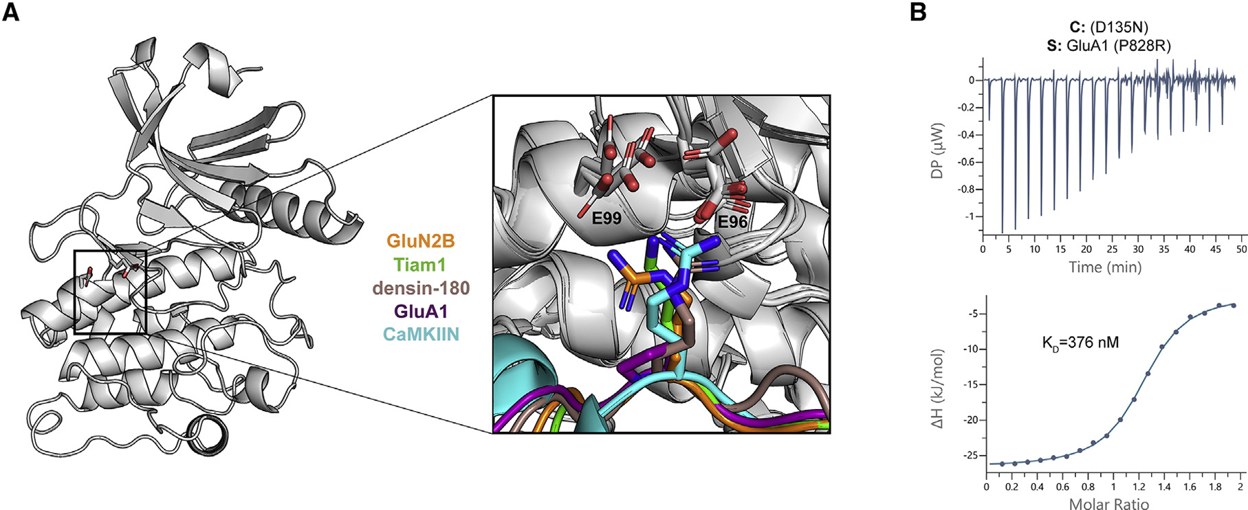 Figure 4.