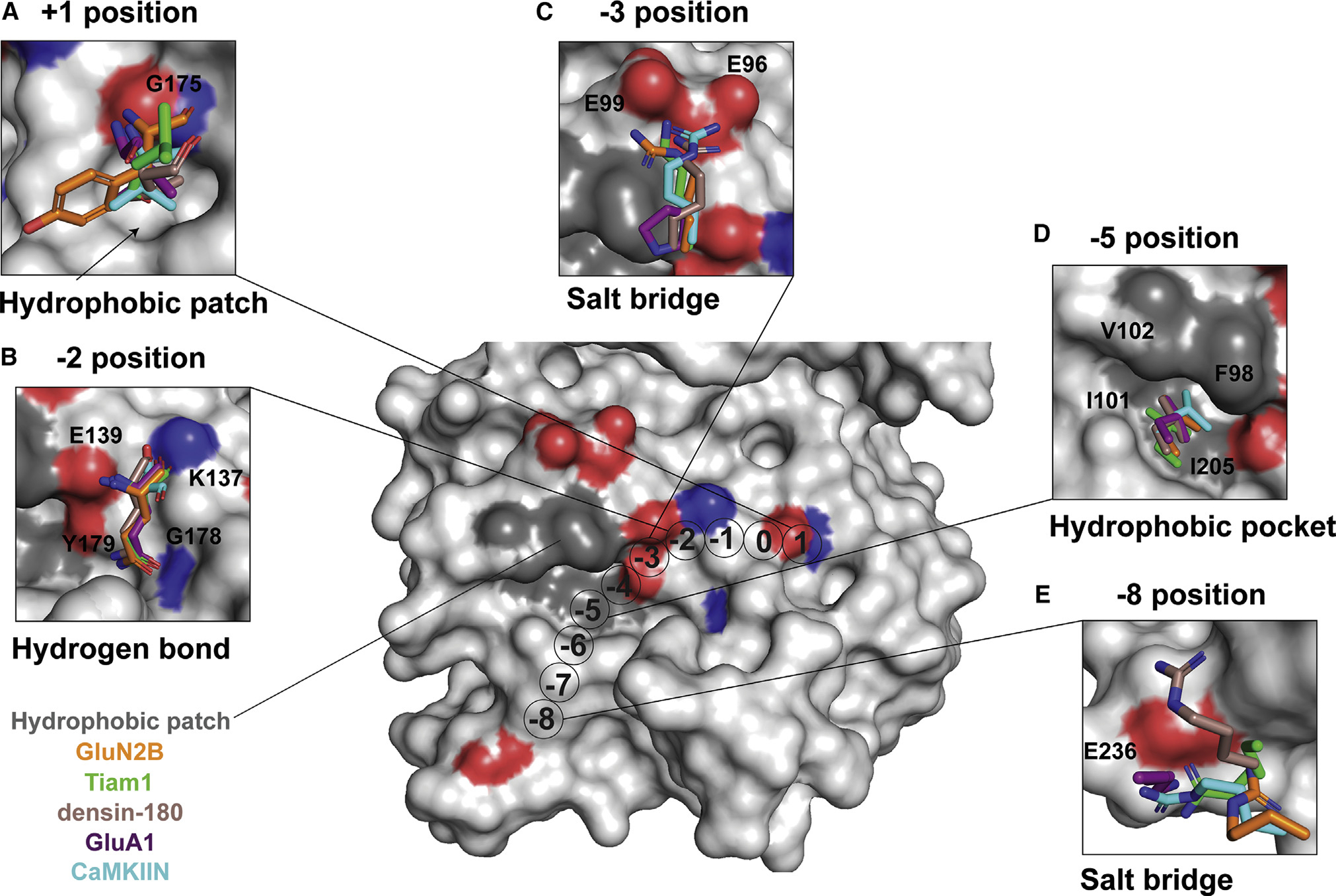 Figure 3.