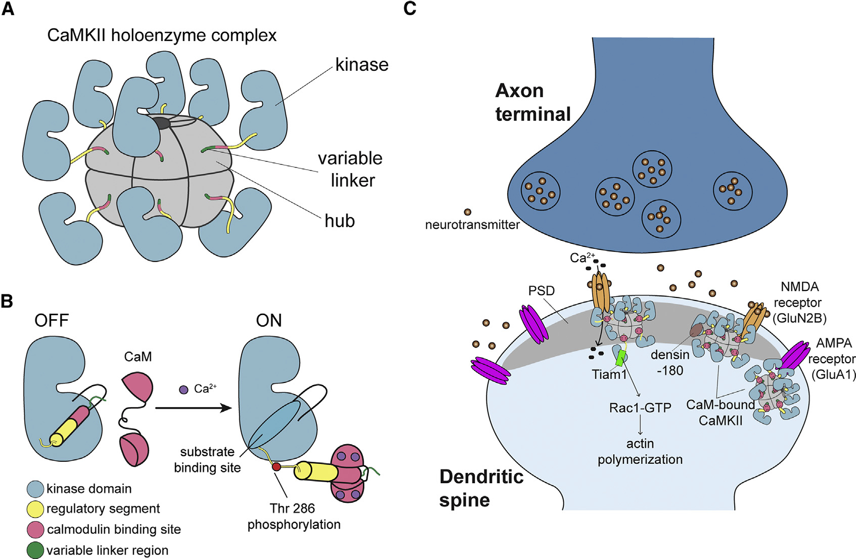 Figure 1.