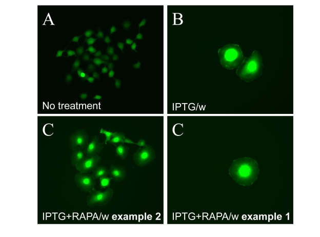 Figure 10.