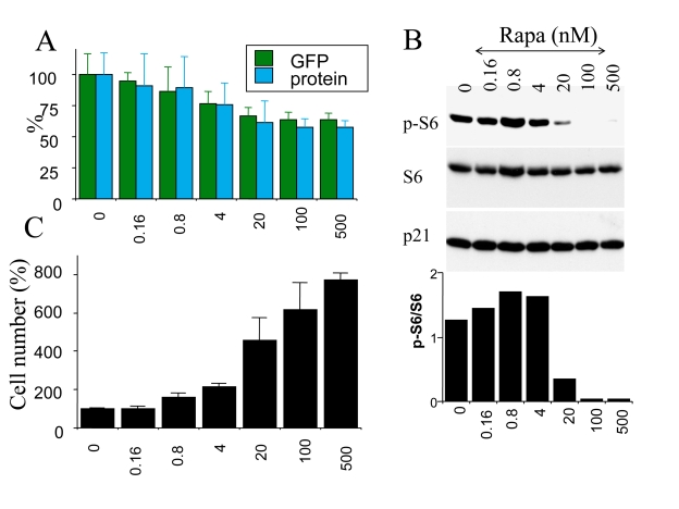 Figure 5.