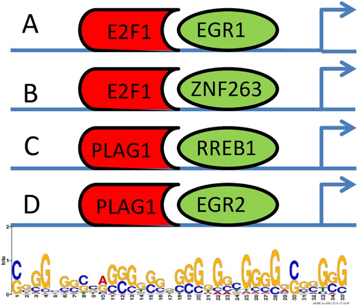 Fig 6