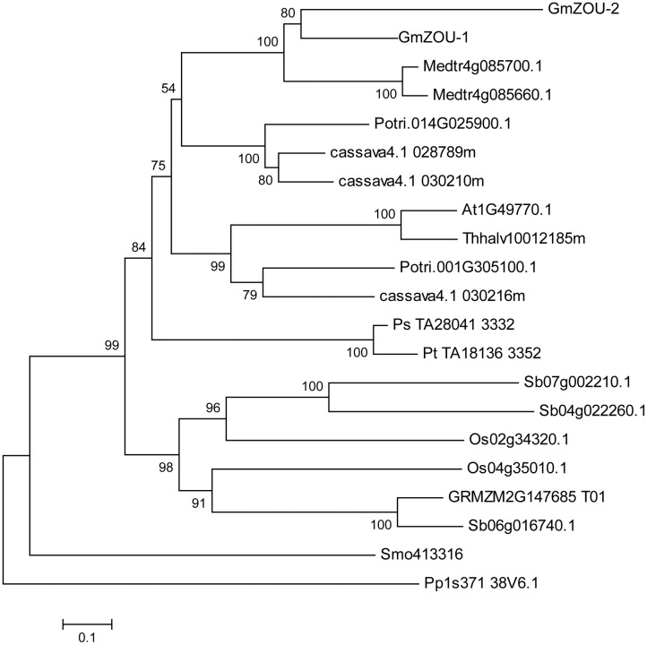 FIGURE 2