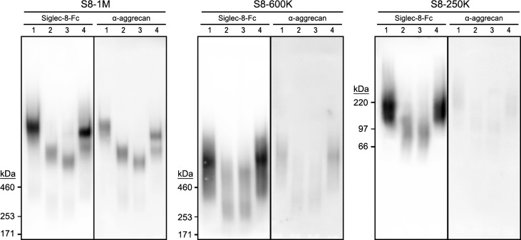 Fig. 9.