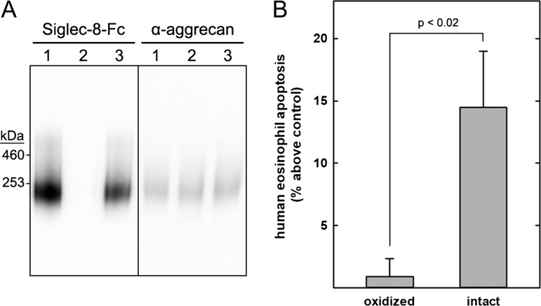 Fig. 10.