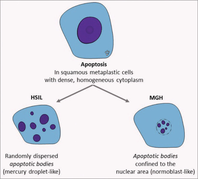 Figure 24: