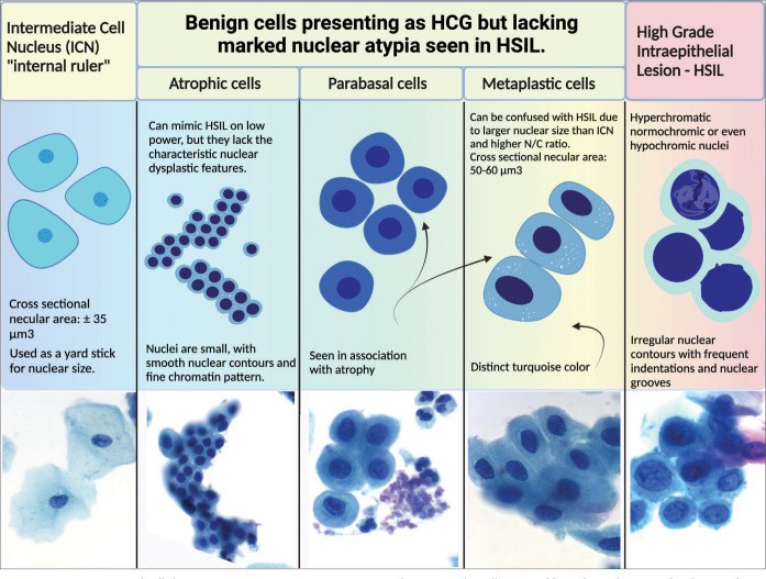 Figure 12: