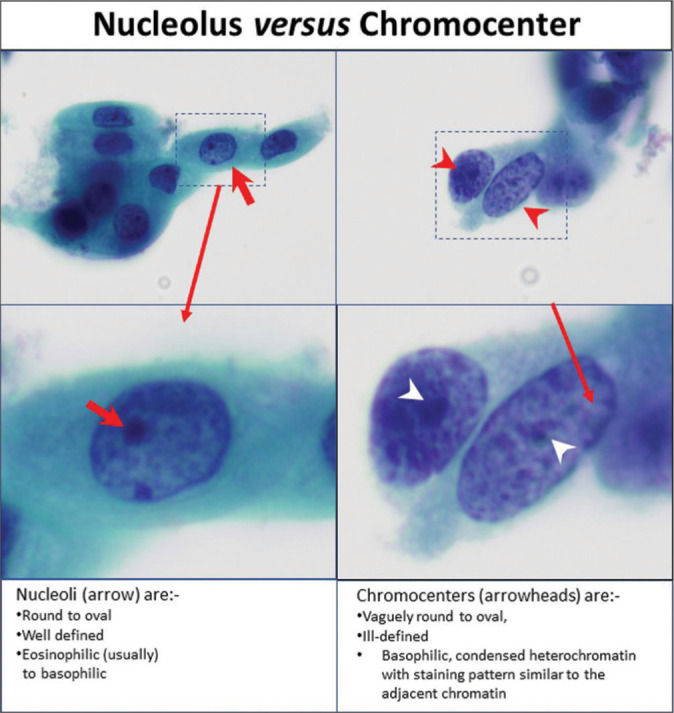 Figure 3: