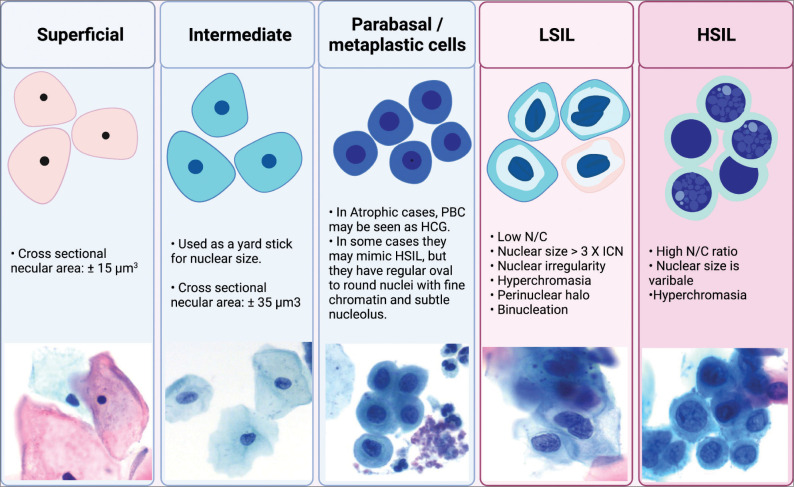 Figure 17: