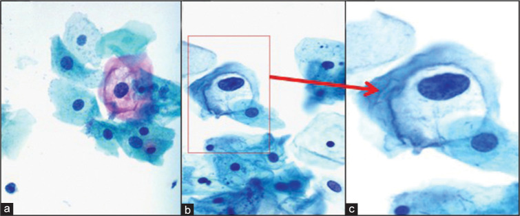 Figure 4: