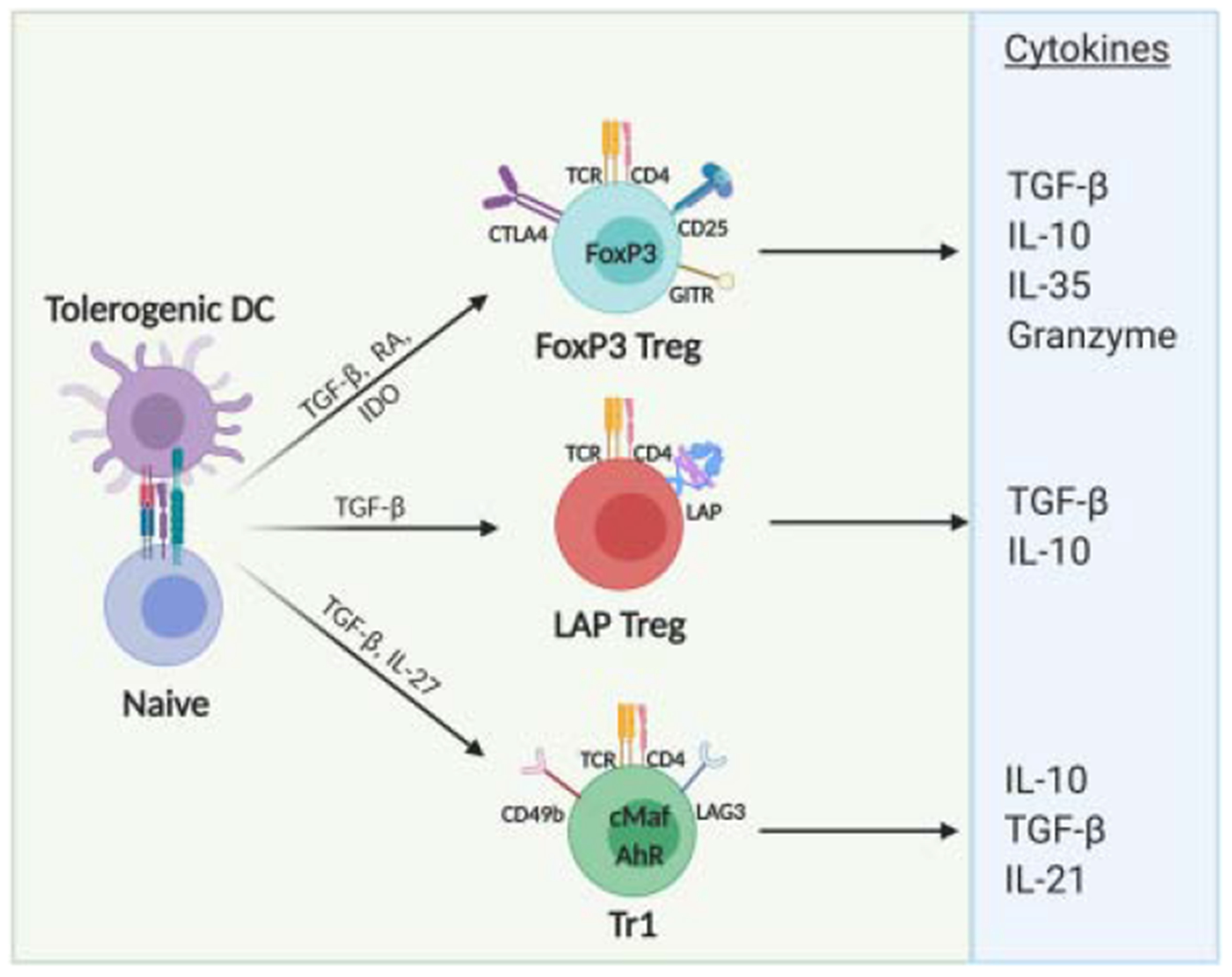 Figure 1: