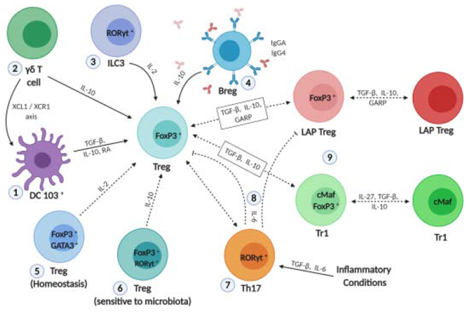 Figure 2: