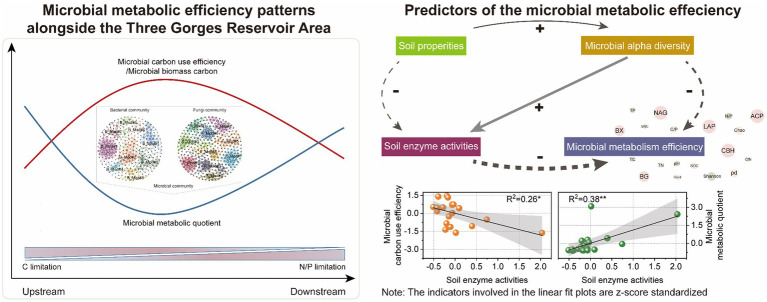 Graphical abstract