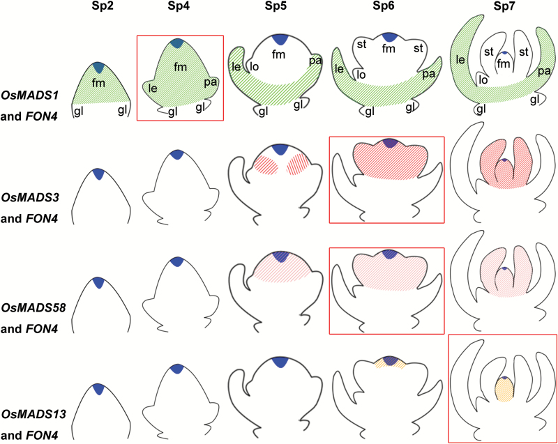 Fig. 7.