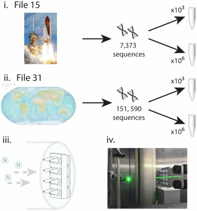 Fig. 4