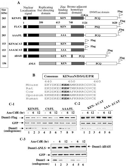 FIG. 6.