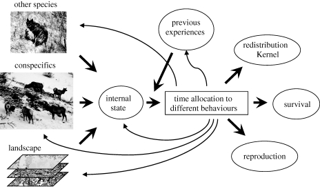 Figure 2.