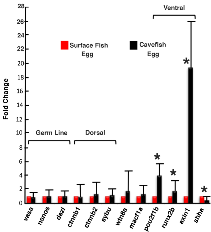 Figure 7.