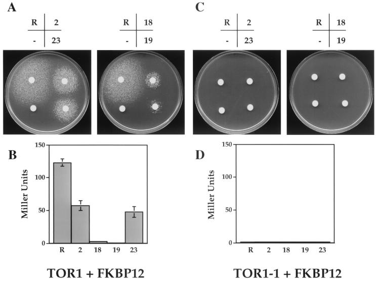 FIG. 4