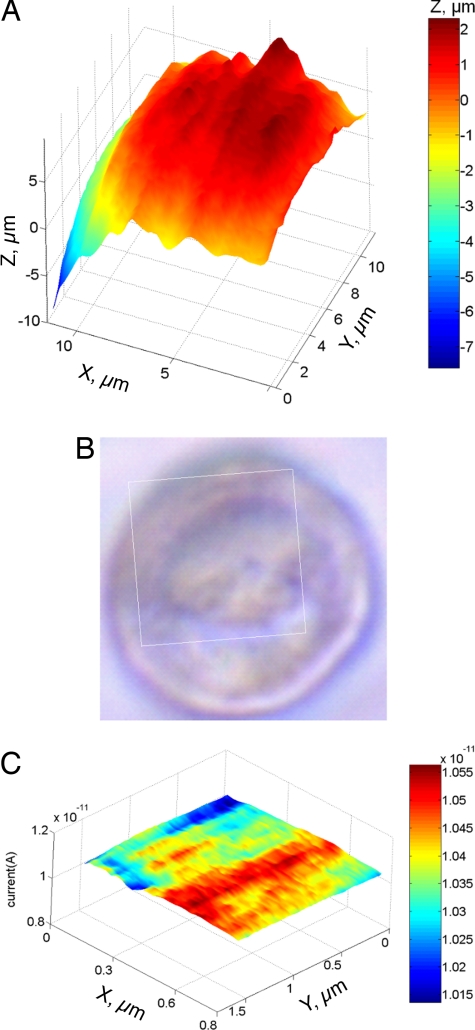 Fig. 6.