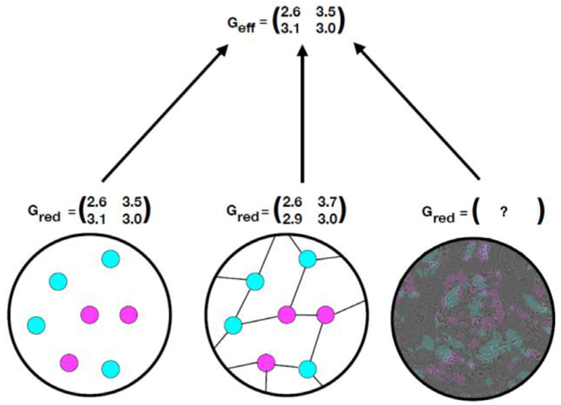 Figure 11.