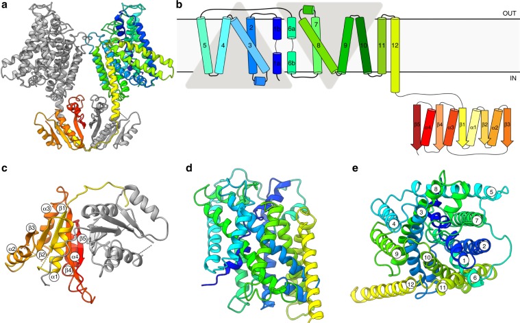 Fig. 2