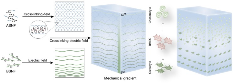 Figure 7