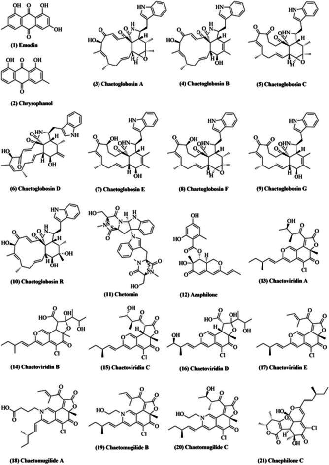 Fig. 1