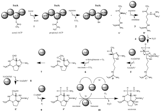 Figure 9