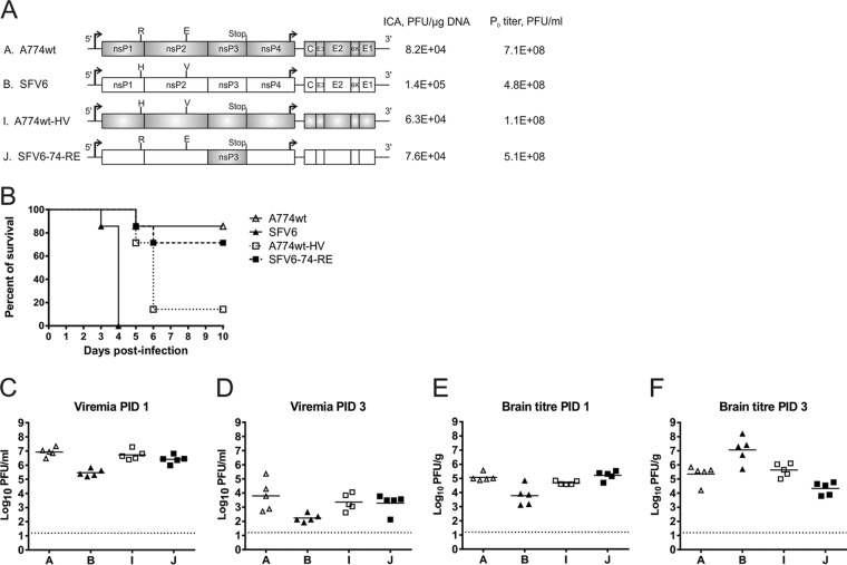 FIG 6