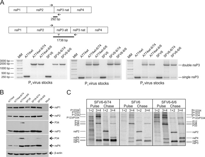 FIG 3