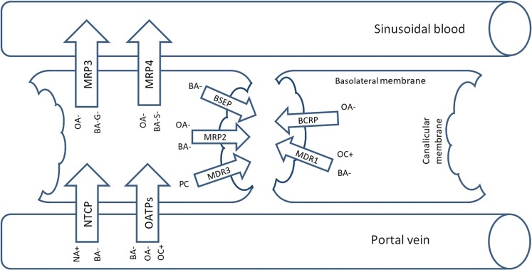 Fig. 1.