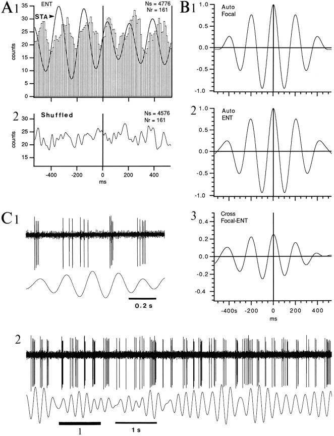 Fig. 10.