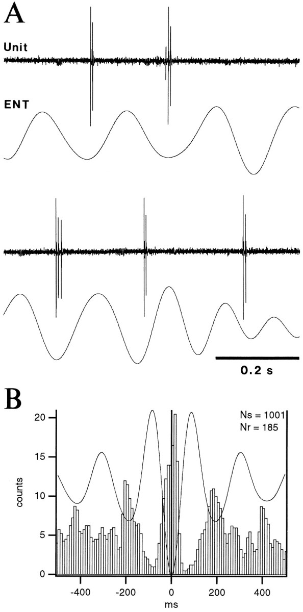 Fig. 11.