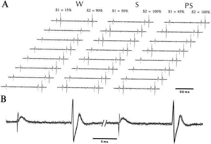 Fig. 6.