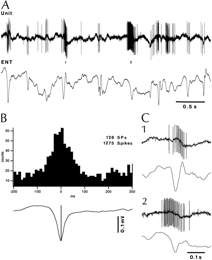 Fig. 9.