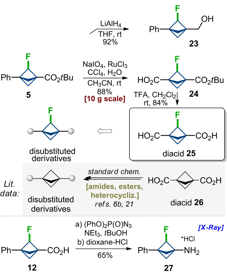 Scheme 4