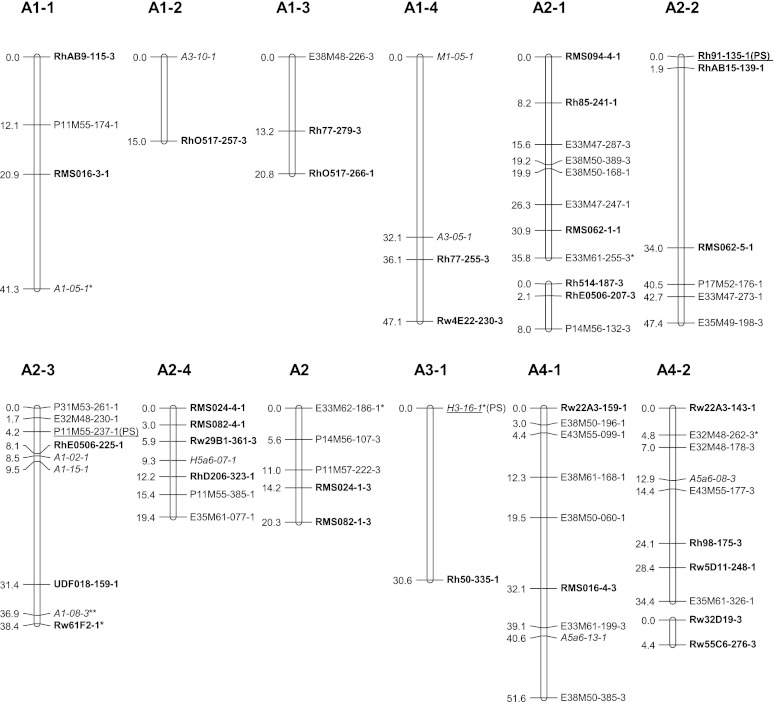 Fig. 2