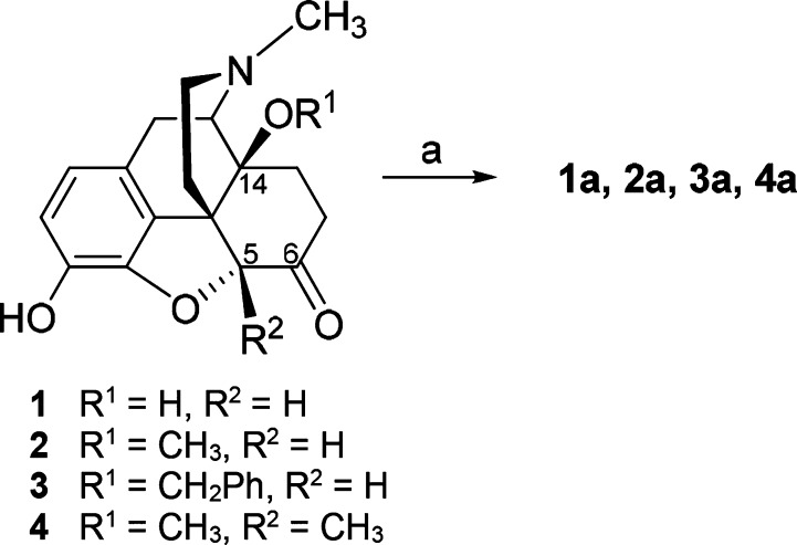 Scheme 1