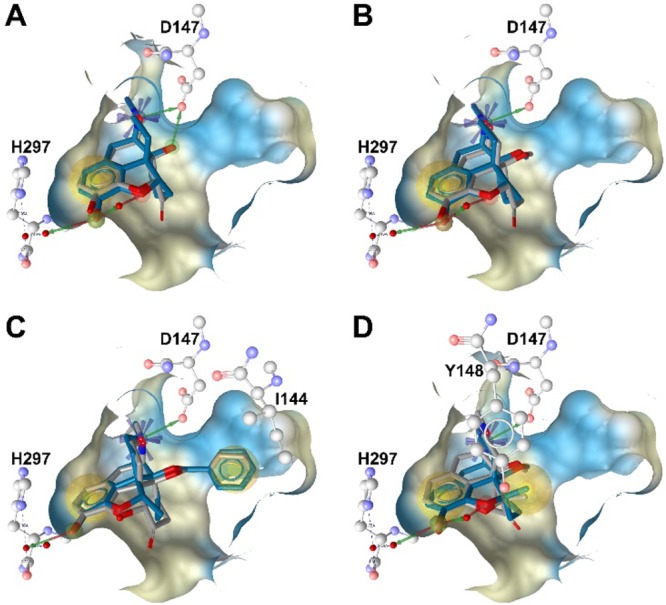 Figure 2