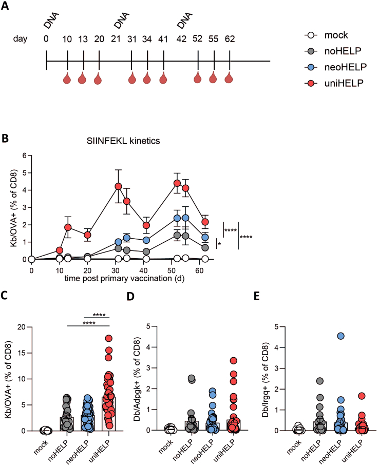 Figure 2