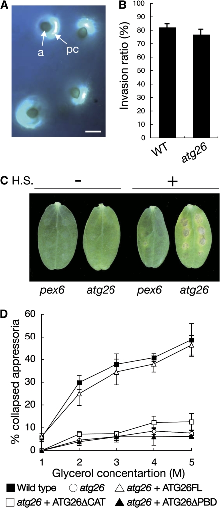 Figure 9.