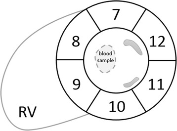 Fig. 3