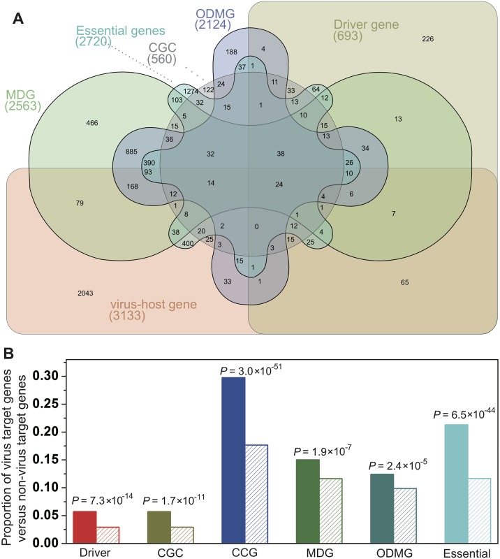 Fig 5